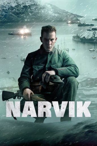 Affiche de Narvik