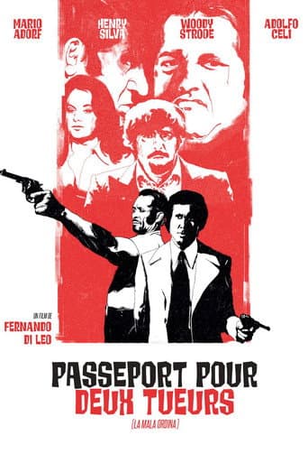 Affiche de Passeport pour deux tueurs