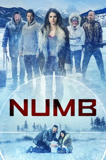 Affiche de Numb