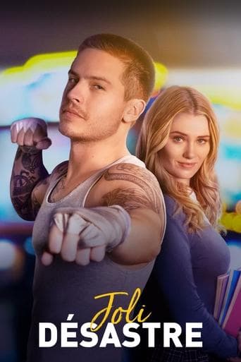 Affiche de Joli Désastre