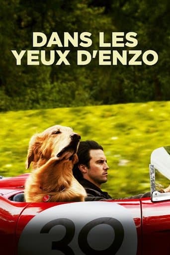 Affiche de Dans les yeux d'Enzo