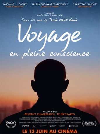 Affiche de Voyage en pleine conscience