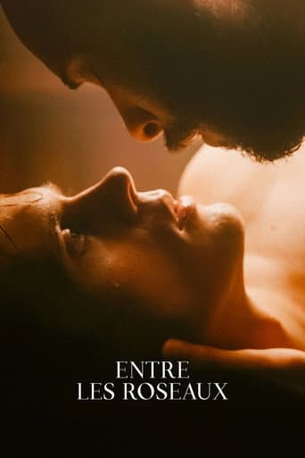 Affiche de Entre les roseaux