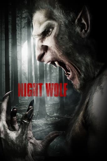 Affiche de Night Wolf