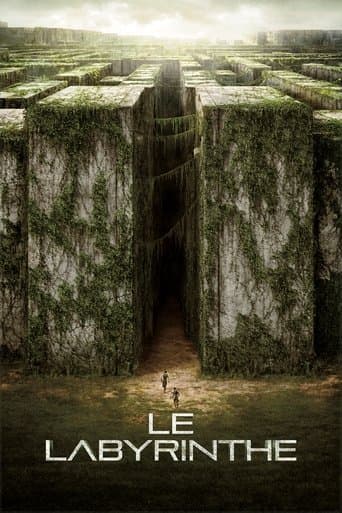 Affiche de Le Labyrinthe