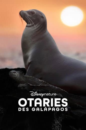 Affiche de Otaries des Galápagos