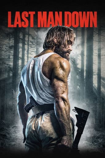 Affiche de Last Man Down