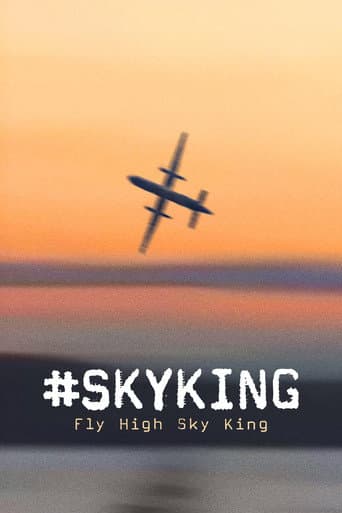 Affiche de #SKYKING