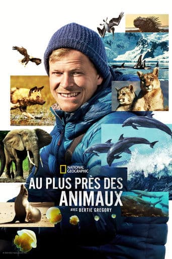 Affiche de Au plus près des animaux avec Bertie Gregory