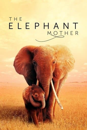 Affiche de The Elephant Mother