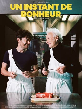 Affiche de Un instant de bonheur