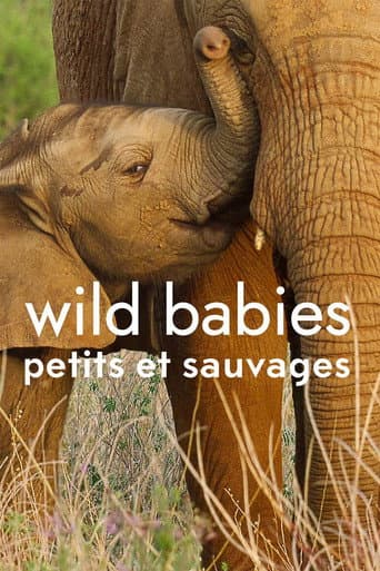 Affiche de Wild Babies : Petits et Sauvages