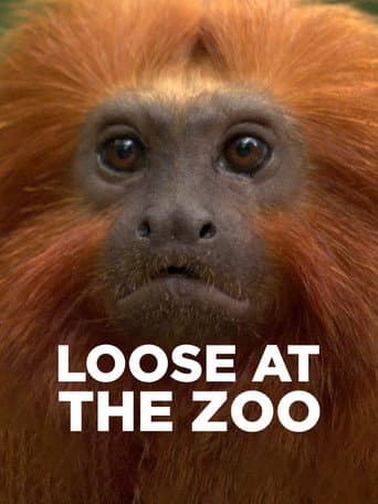 Affiche de Loose at the Zoo