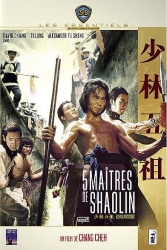 Affiche de 5 Maîtres de Shaolin