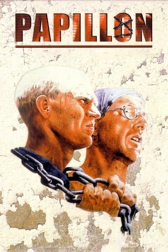 Affiche de Papillon
