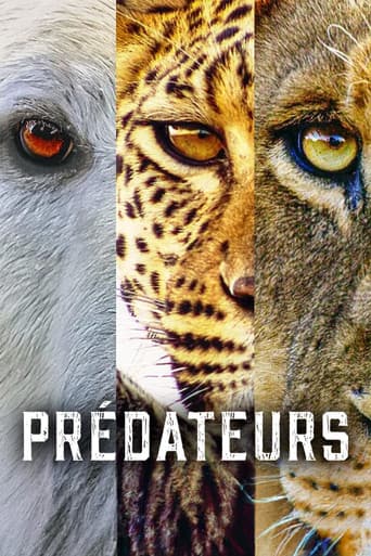 Affiche de Prédateurs
