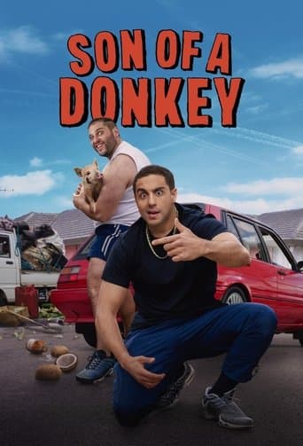 Affiche de Son of a Donkey