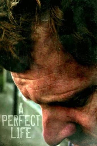 Affiche de A Perfect Life