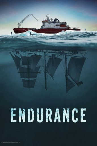 Affiche de Endurance
