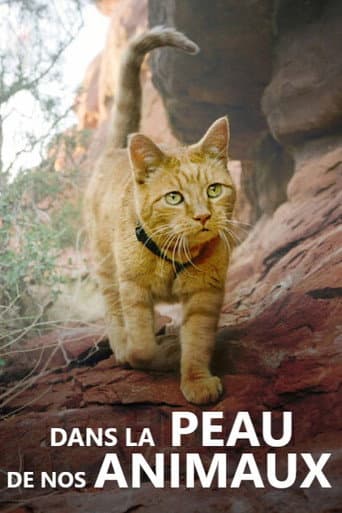 Affiche de Dans la peau de nos animaux