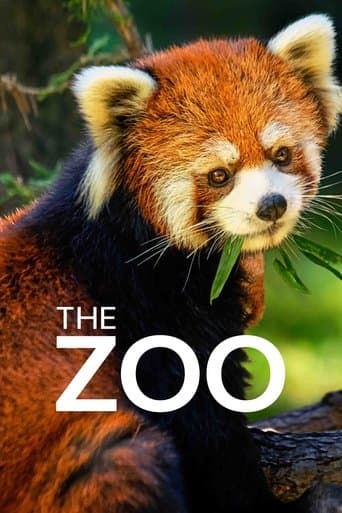 Affiche de Le Zoo du Bronx
