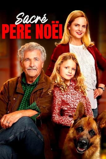 Affiche de Sacré Père Noël