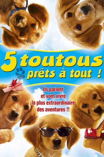 Affiche de 5 toutous prêts à tout