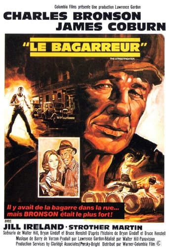 Affiche de Le Bagarreur