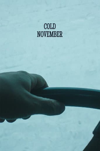 Affiche de Cold November