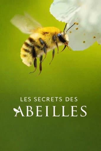Affiche de Les Secrets des abeilles