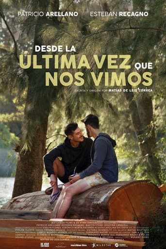 Affiche de Depuis la dernière fois que l'on s'est vus