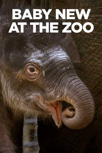 Affiche de Baby New at the Zoo