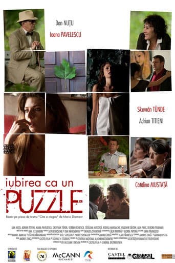 Affiche de Puzzle