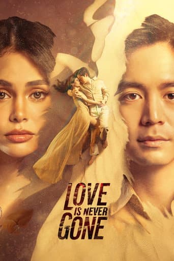 Affiche de Love Is Never Gone