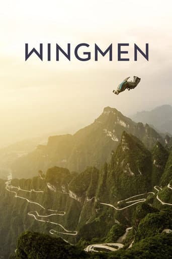 Affiche de Wingman