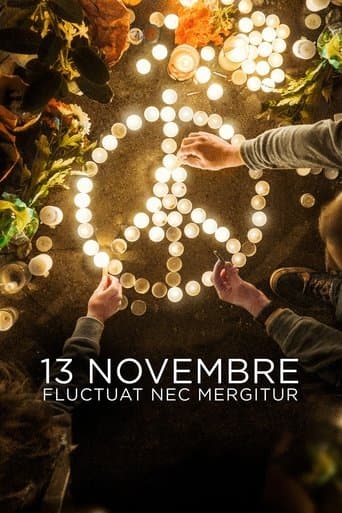 Affiche de 13 novembre : Fluctuat nec mergitur