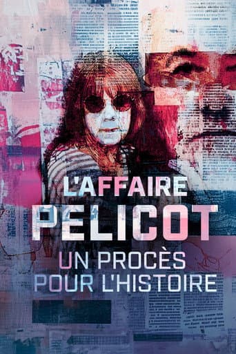 Affiche de L'affaire Pelicot : un procès pour l'histoire