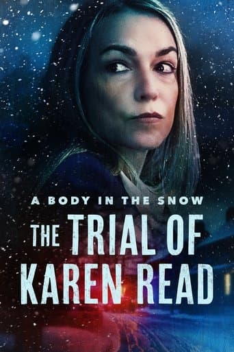 Affiche de L'affaire Karen Read : Homicide ou complot ?