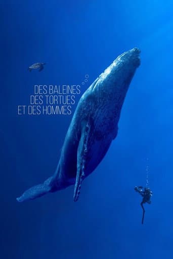 Affiche de Des baleines, des tortues et des hommes