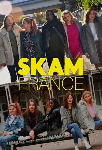 Affiche de SKAM France