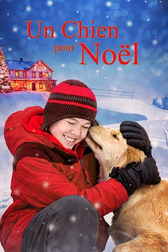 Affiche de Un chien pour Noël