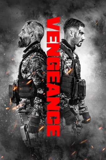 Affiche de Vengeance