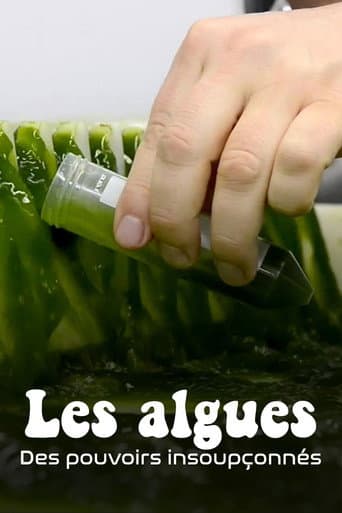 Affiche de Les Algues : Des pouvoirs insoupçonnés