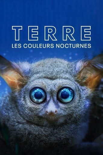 Affiche de Terre : les couleurs nocturnes