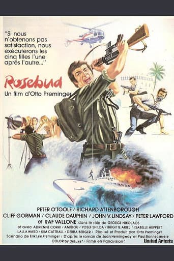 Affiche de Rosebud