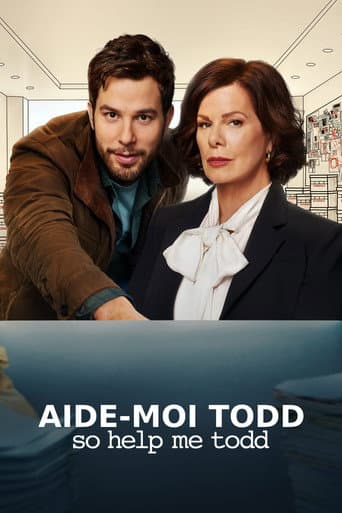 Affiche de So Help Me Todd