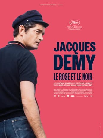 Affiche de Jacques Demy, le rose et le noir