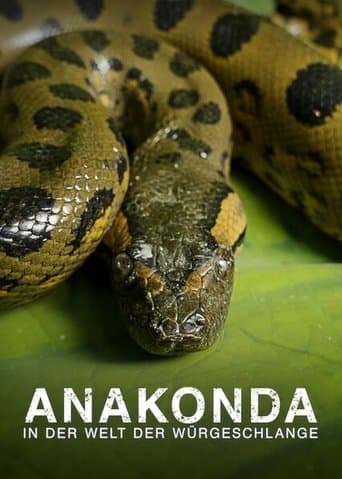 Affiche de Anaconda : Le tueur de l'ombre