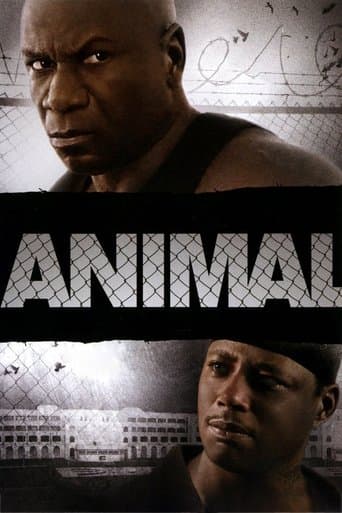 Affiche de Animal