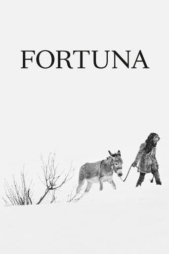 Affiche de Fortuna